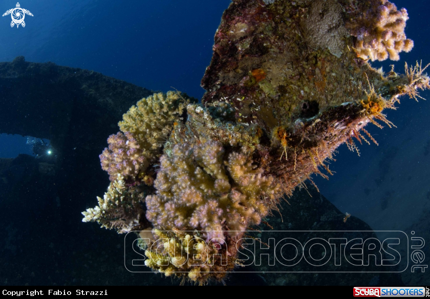 A Wreck
