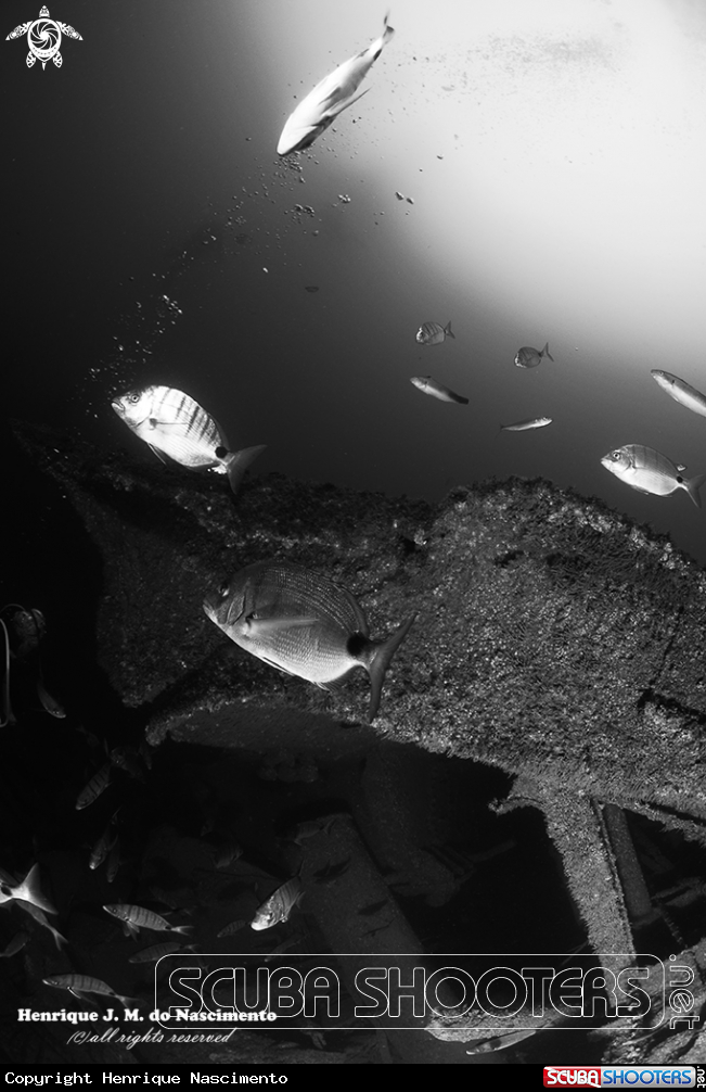 A wreck