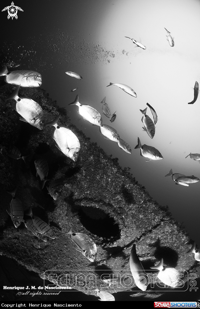 A wreck