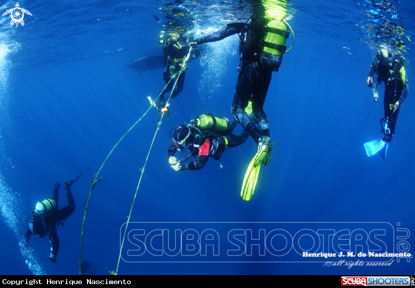A Diving