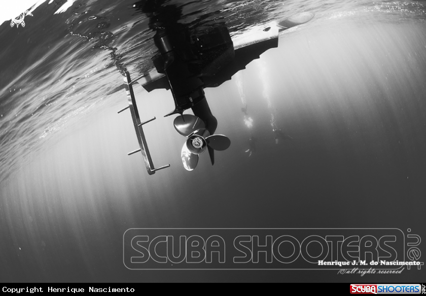 A Diving