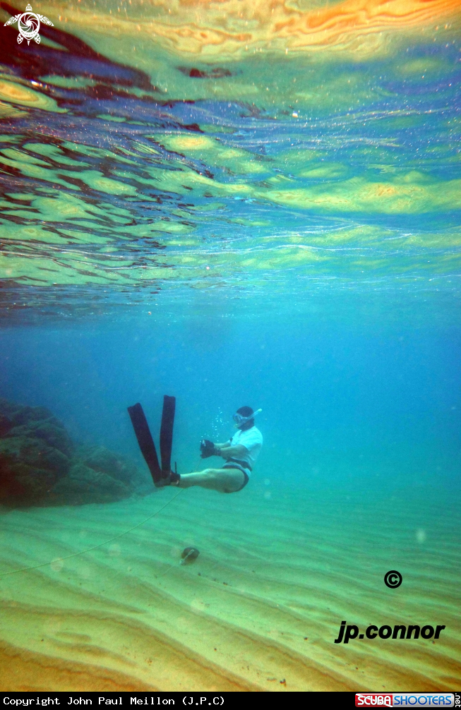 A Freediving