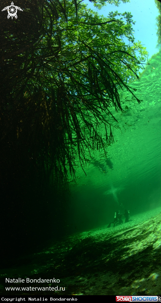 A Casa Cenote