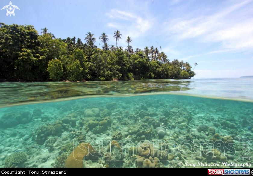 A Njari Island