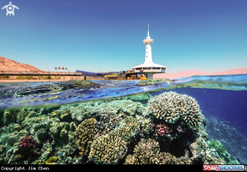 A The Underwater Observatory Marine Park