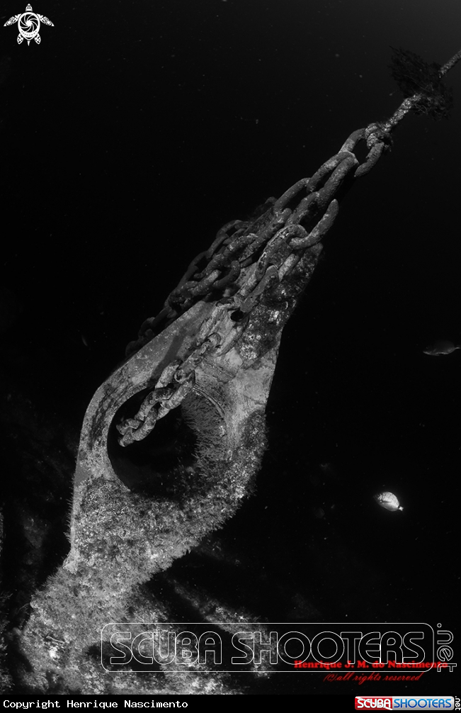 A River Gurara