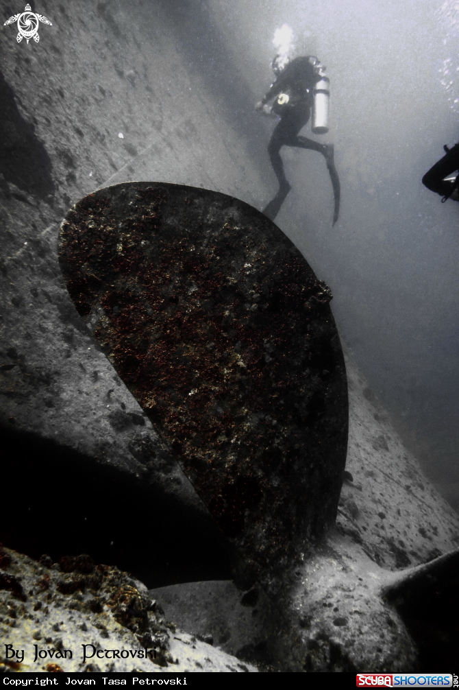 A SS Thistlegorm