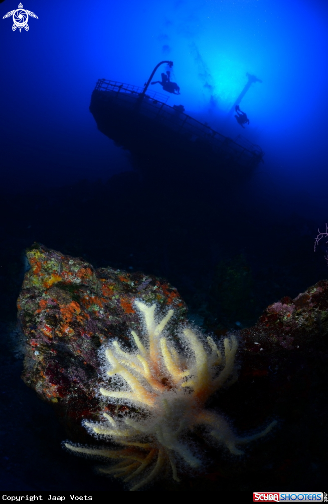 A Wreck