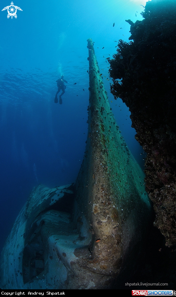 A Poseidonia