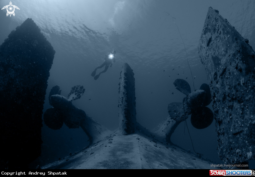 A Poseidonia