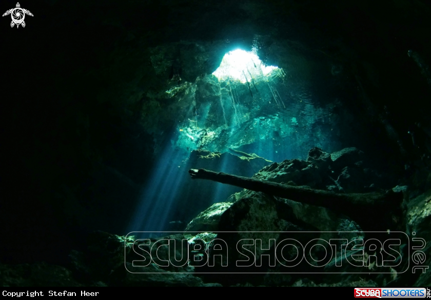 A Cenotes