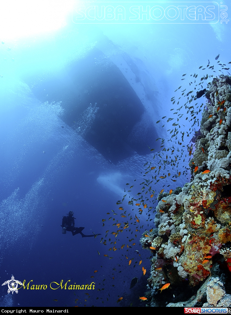 A The reef and the boat