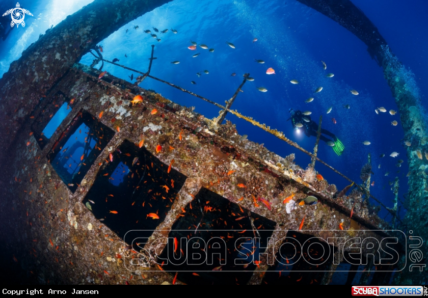 A The Giannis D in the red sea