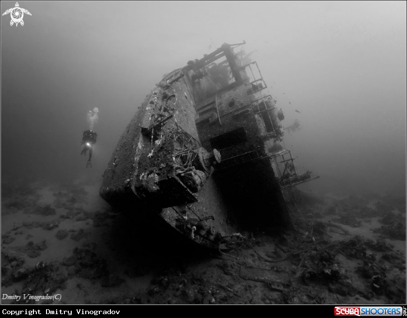 A underwater creature