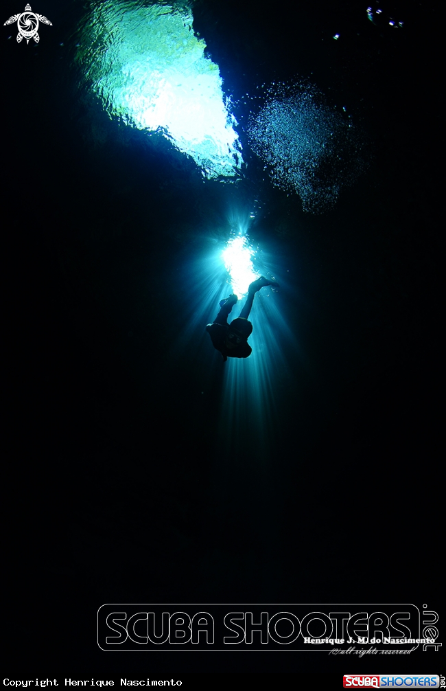 A Cenote - México