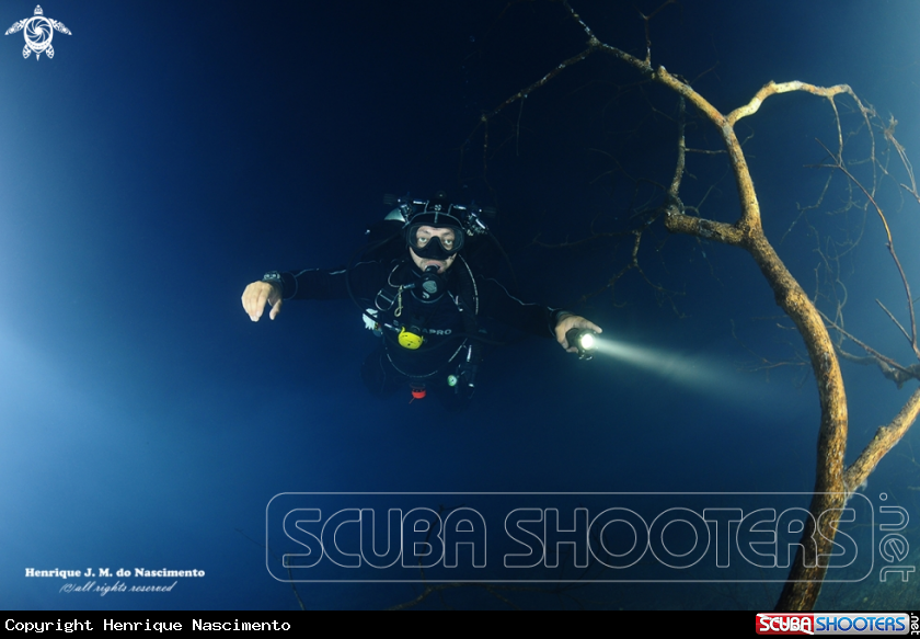 A Cenote