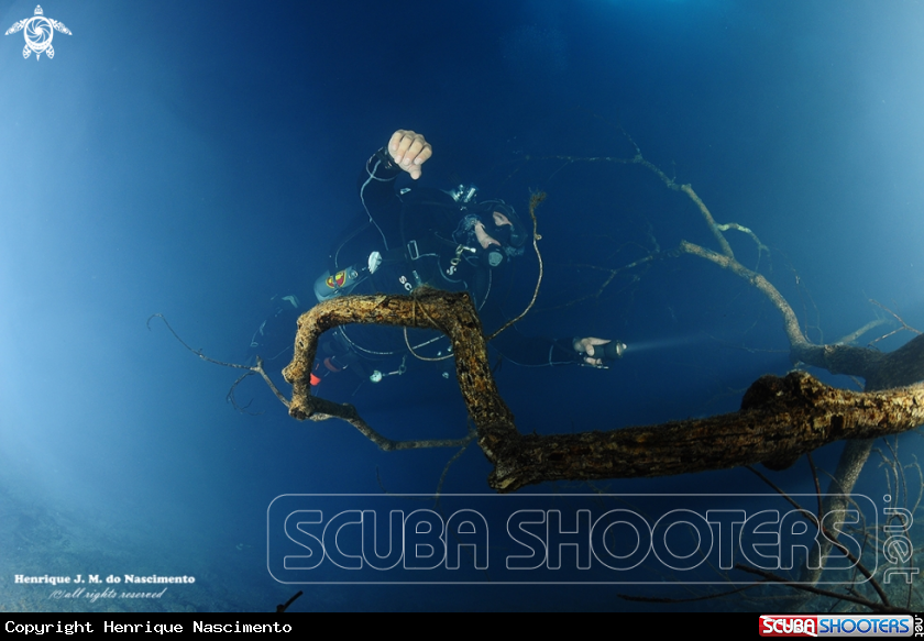 A Cenote