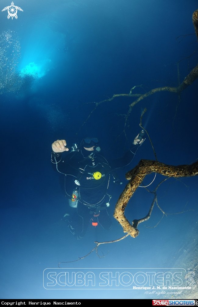 A Cenote