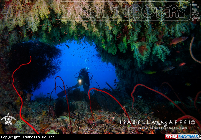 A Reef landscape