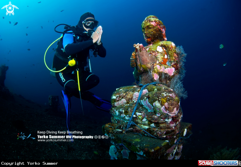 A Buddha Statue Underwater