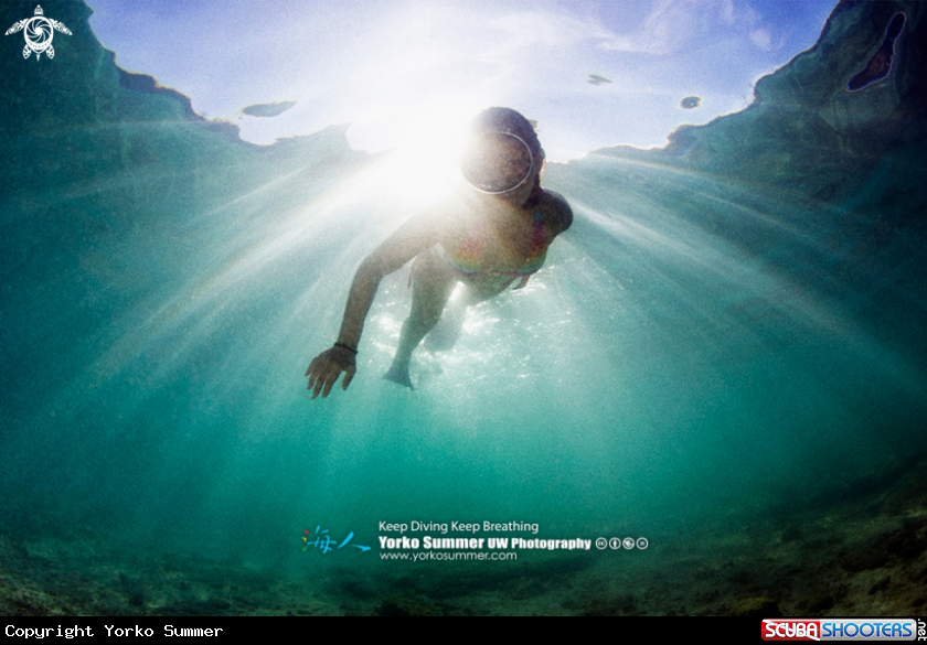 A Underwater Model