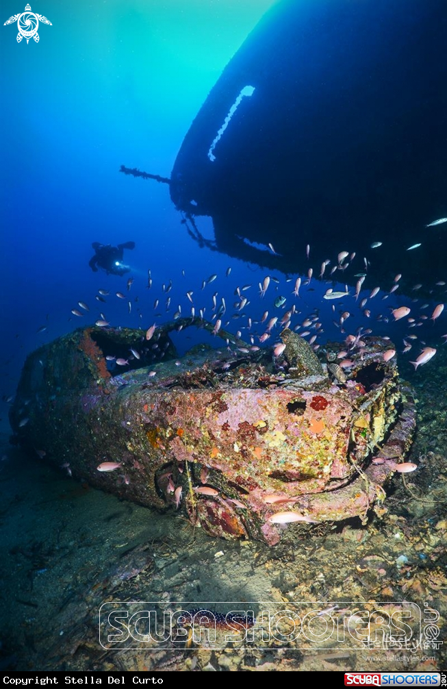 A Ferryboat wreck, lying at 65 meters depth