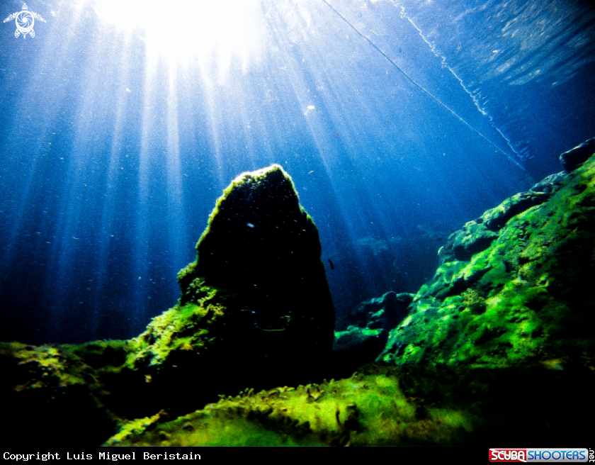 A Cenote Jardines del Eden