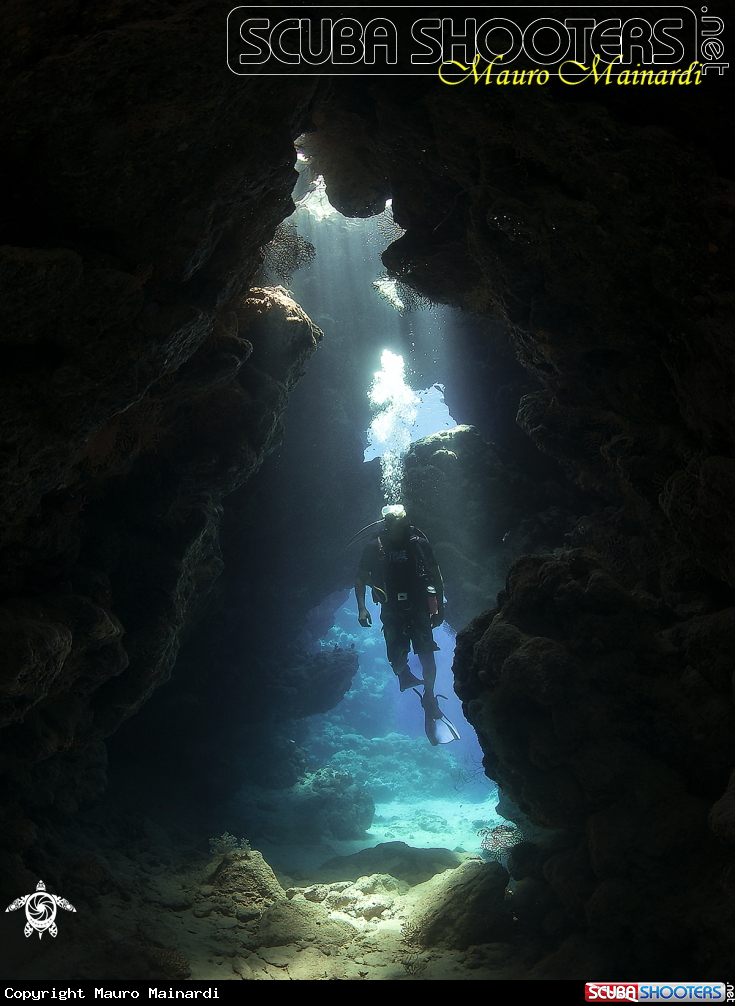 A Observatory sharks cave