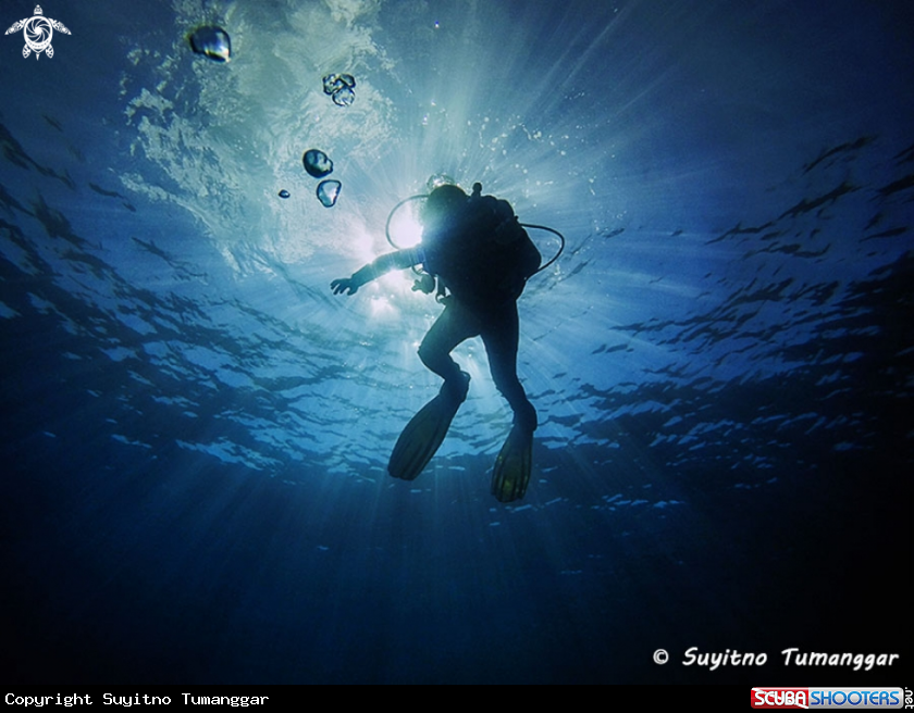 A diving