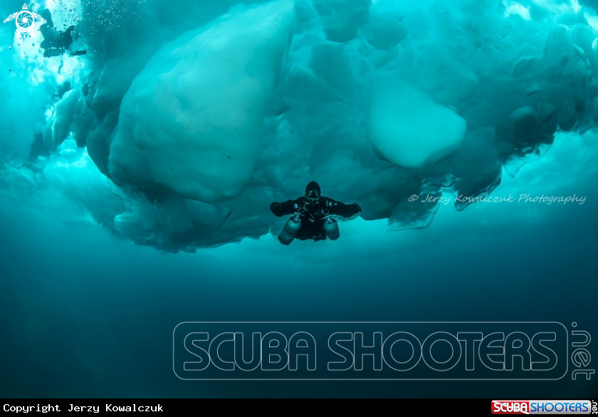 A Shore Diving