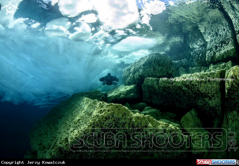 A Shore Diving
