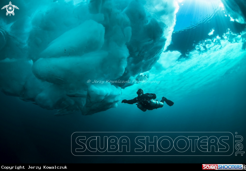 A 61 min. dive