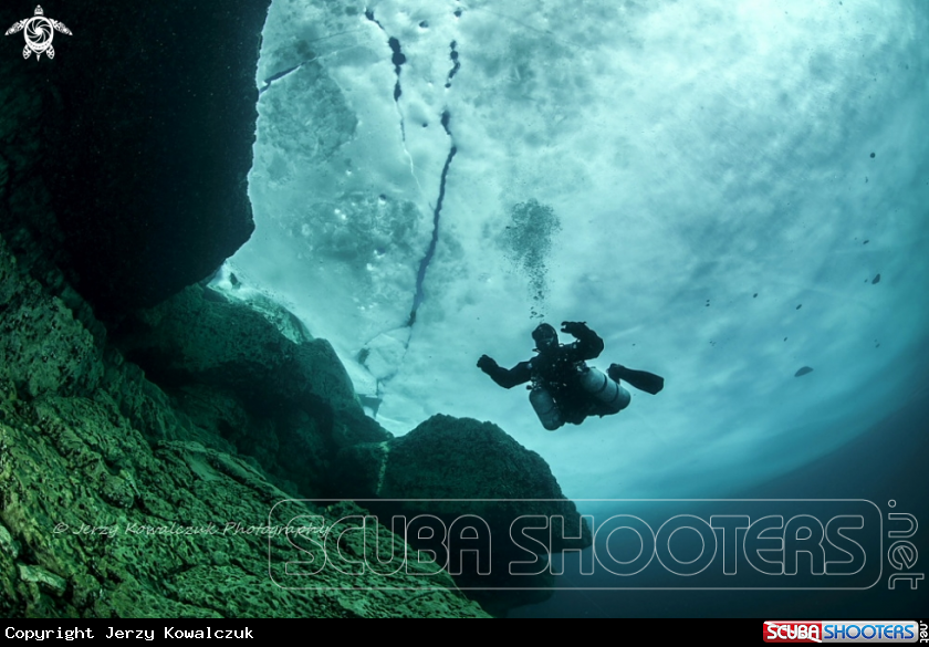 A 61 min. dive
