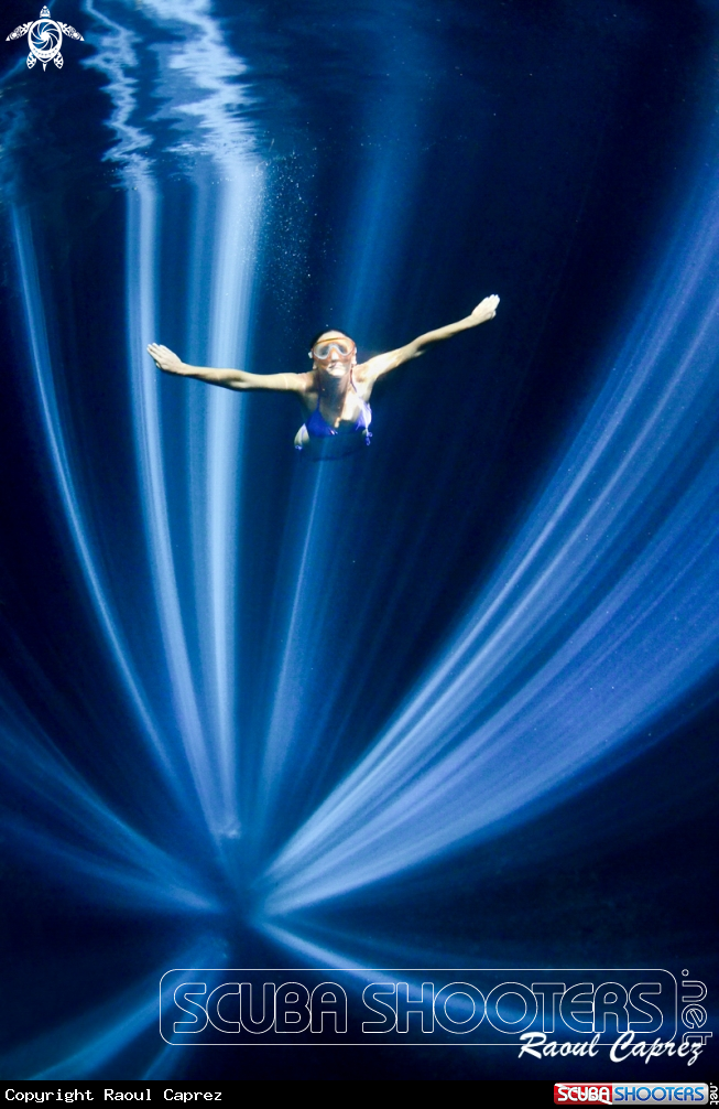 A Valerie free diver