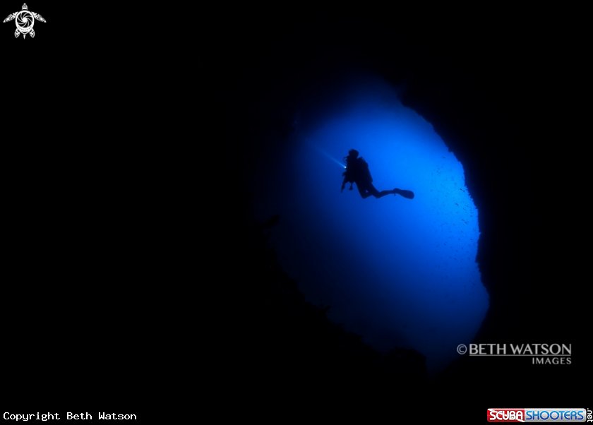 A Diver