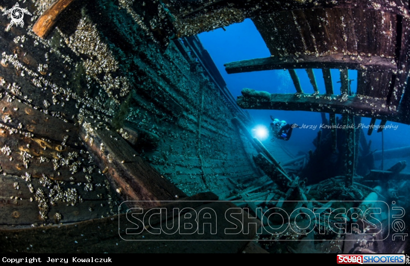 A Under ice & Spring Diving