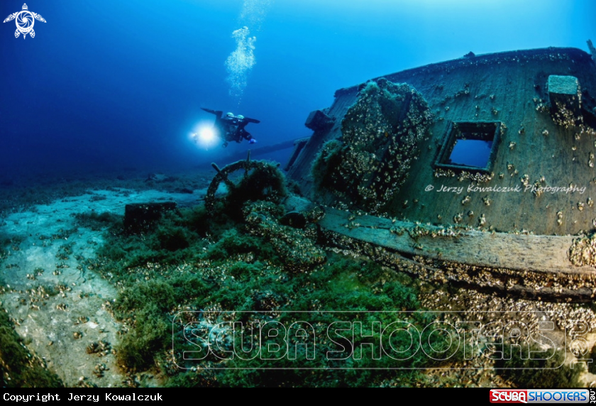 A Spring diving