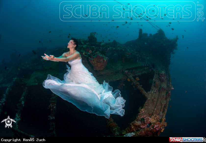 A Guardian of the Mola wreck