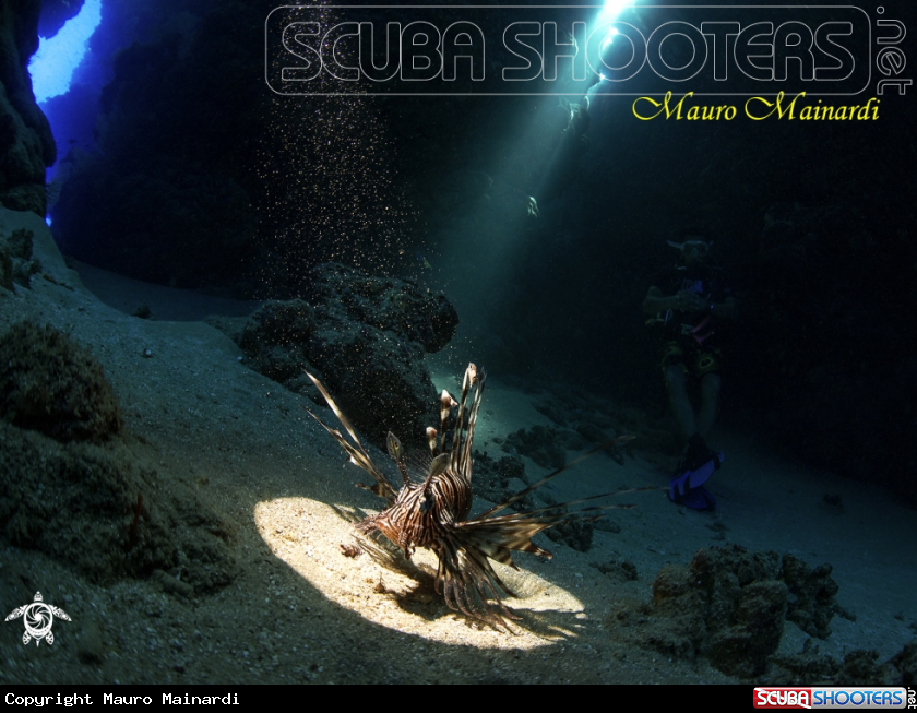 A Jackfish alley caves(Ras Mohammed)