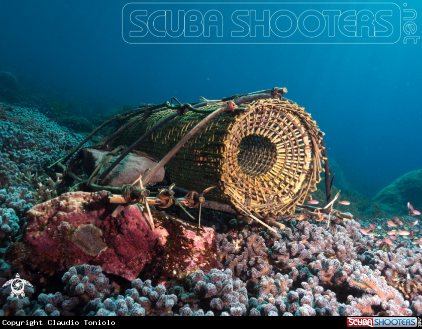 A Fish Trap