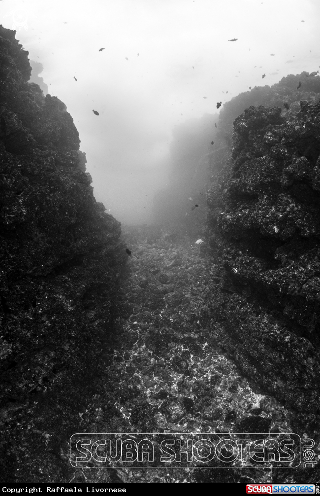 A underwater reefscape