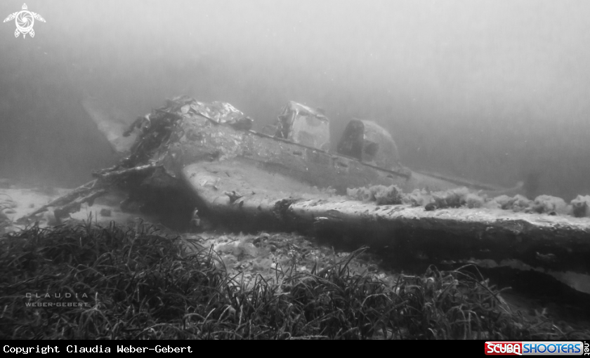 A Stuka bomber