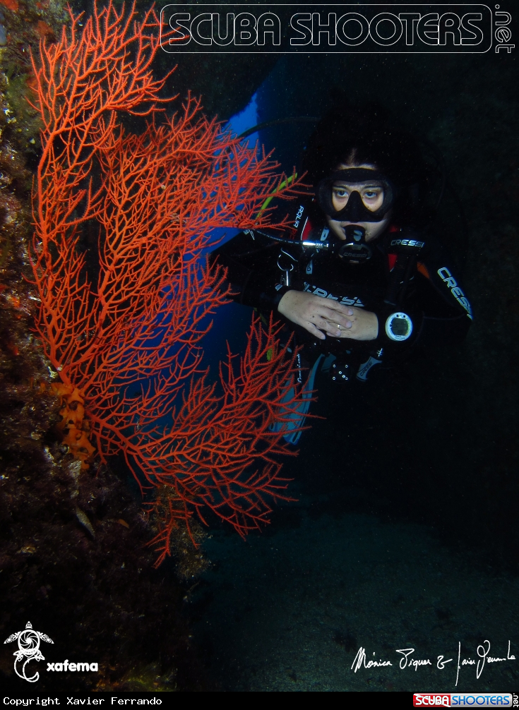 A underwater creature