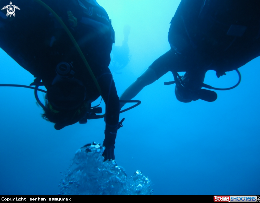 A Divers