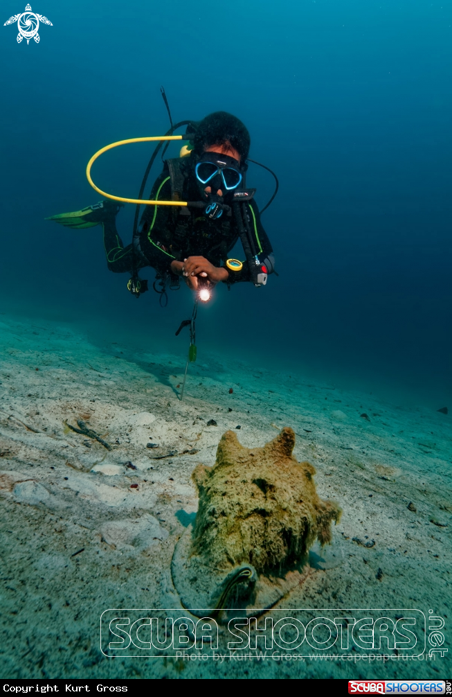 A Helmet Shell