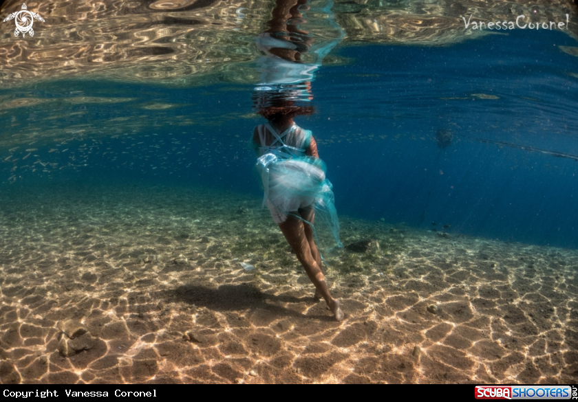 A free- freediving
