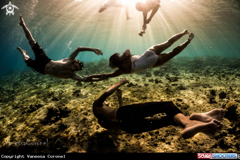 A free- freediving