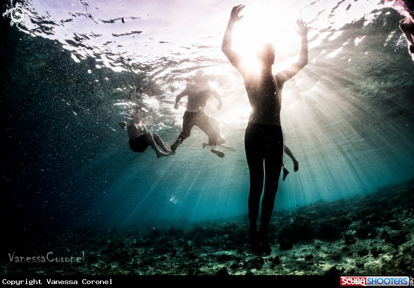 A free- freediving