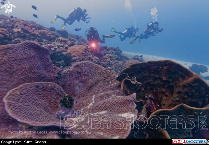 A People by diving