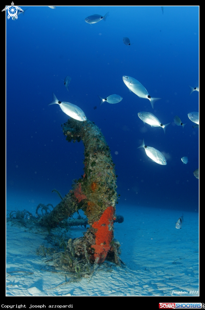 A Anchor